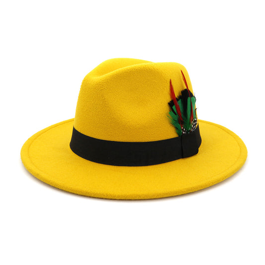 Men's And Women's New Woolen Broad-brimmed Hat Classic Top Fashion Feather Hat - Urban Caps
