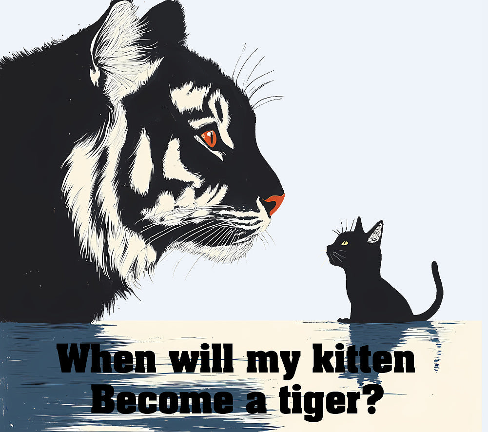 Men's Casual Baseball Cap - Urban Caps