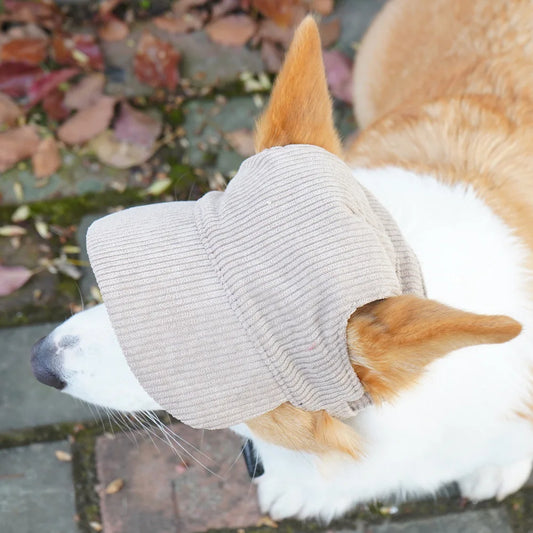Grey baseball cap for dogs shown front-on
