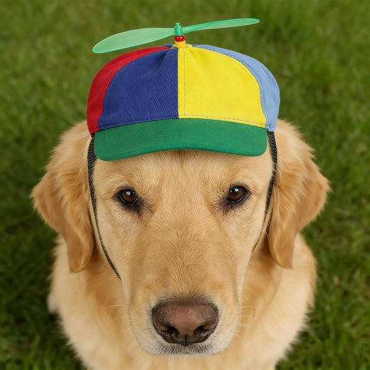 Cat wearing a rainbow propeller baseball cap