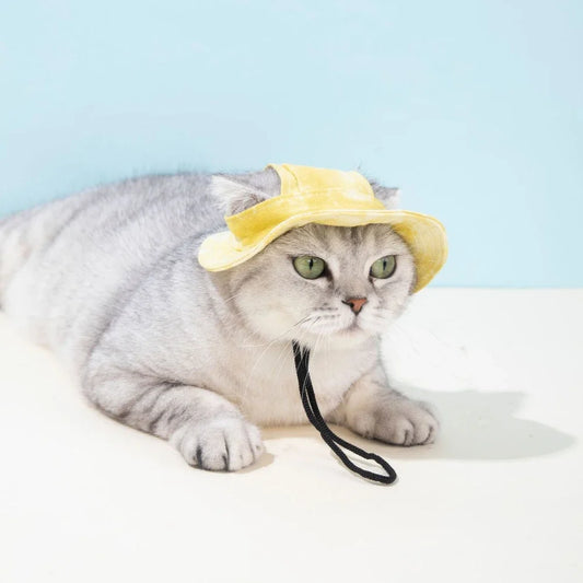 Adjustable cotton dog cap in yellow, pink and purple