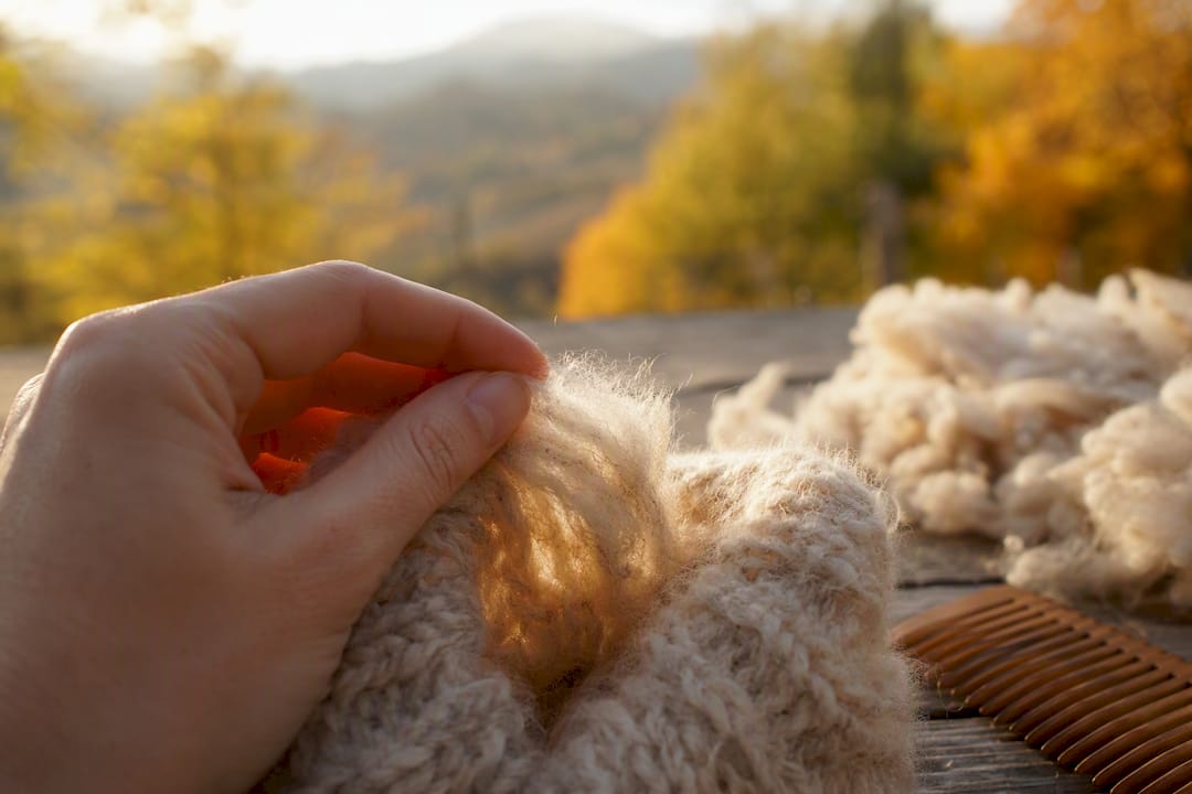 Hand touching crimped wool fibres