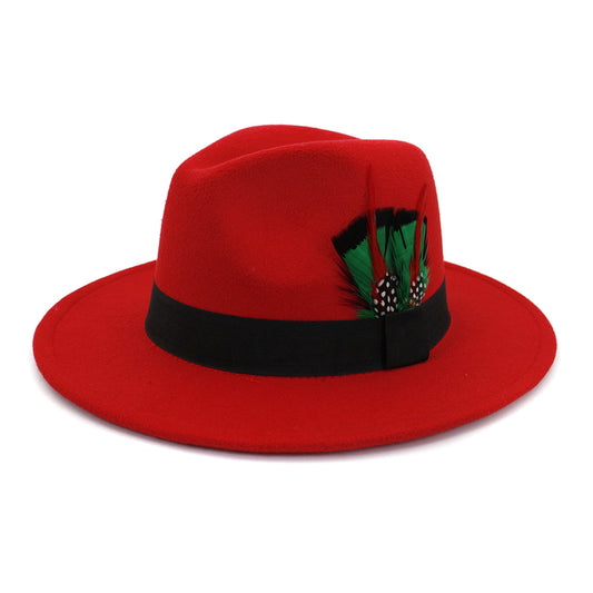 Men's And Women's New Woolen Broad-brimmed Hat Classic Top Fashion Feather Hat