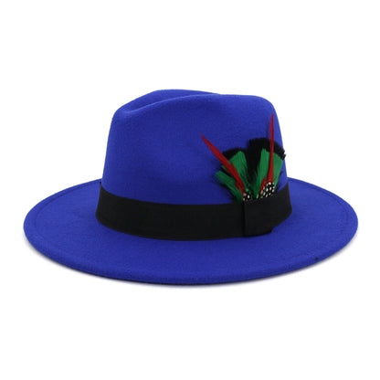 Men's And Women's New Woolen Broad-brimmed Hat Classic Top Fashion Feather Hat - Urban Caps 