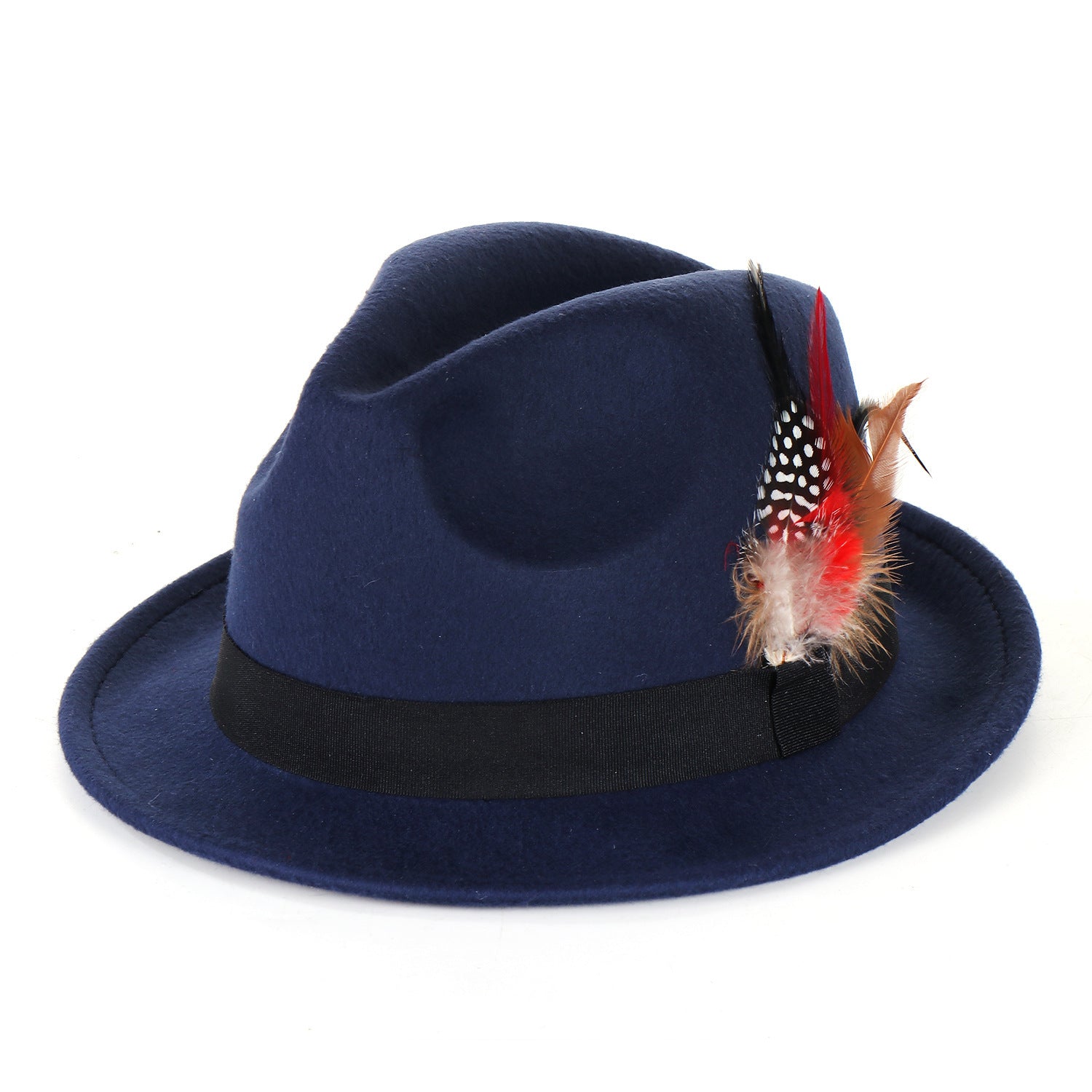 Fashion Men's And Women's Woolen Feather Hat - Urban Caps 
