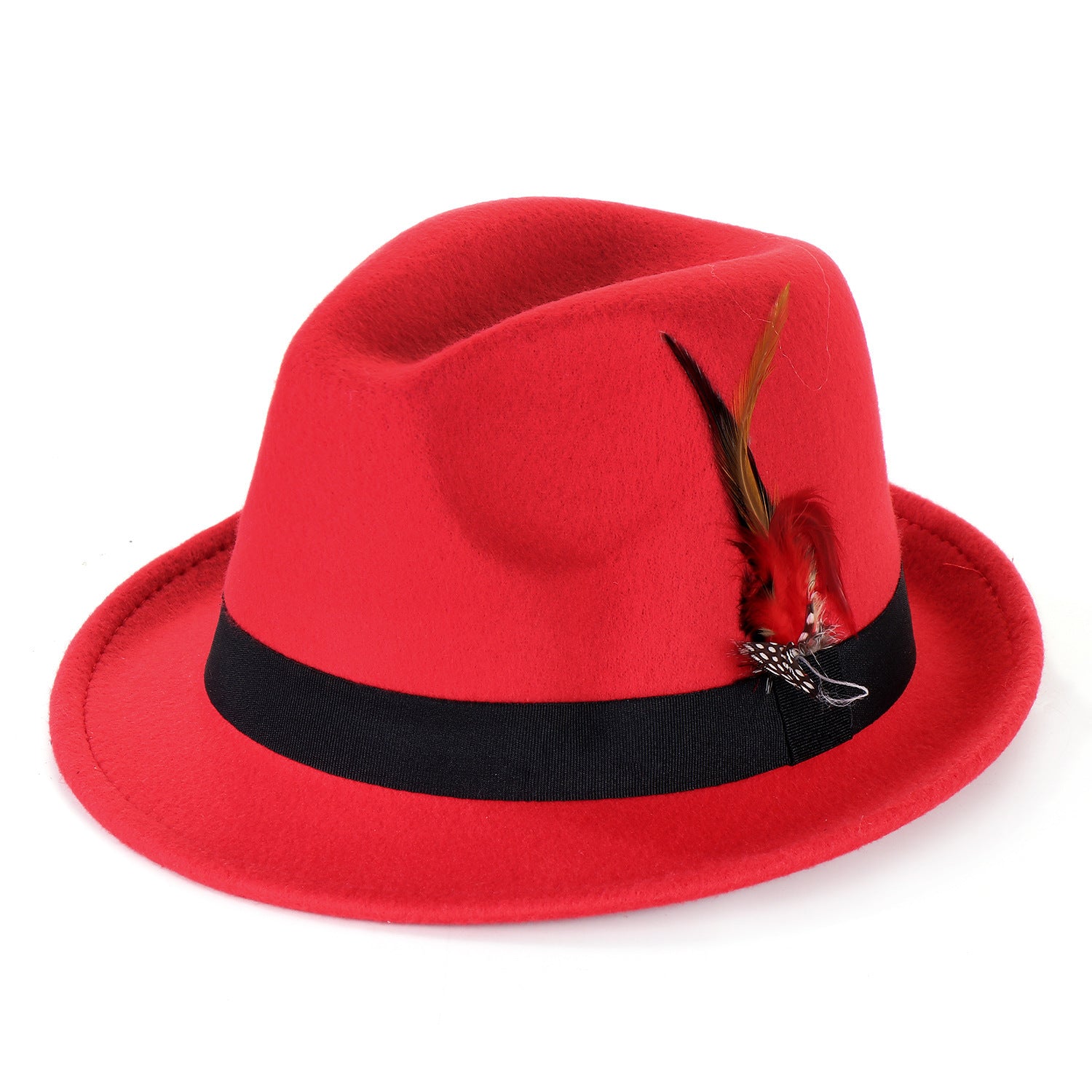 Fashion Men's And Women's Woolen Feather Hat - Urban Caps 