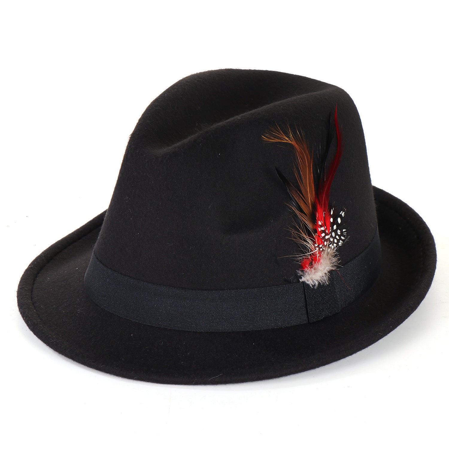 Fashion Men's And Women's Woolen Feather Hat - Urban Caps 