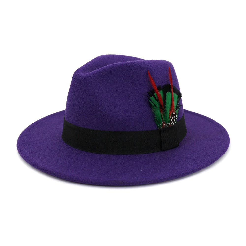 Men's And Women's New Woolen Broad-brimmed Hat Classic Top Fashion Feather Hat