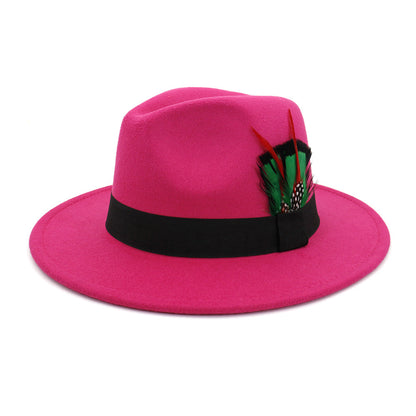 Men's And Women's New Woolen Broad-brimmed Hat Classic Top Fashion Feather Hat - Urban Caps 