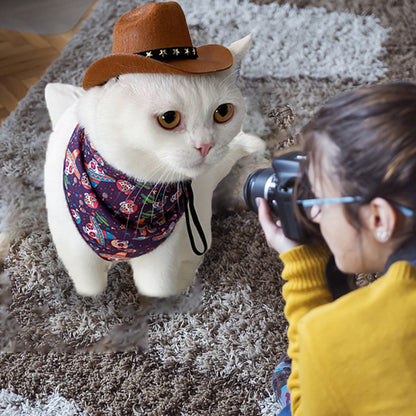 Stylish Pets Cat Cowboy Hat Star Hats For Cats Dogs Soft Adjustable Caps Street Parties Photo Shoots Universal Props Clothing - Urban Caps 