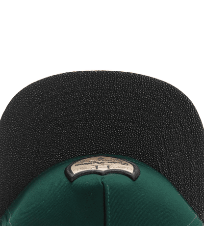 Cayler & Sons Green Snapback Cap - Casual Streetwear Look With Embroidered Logo Detail