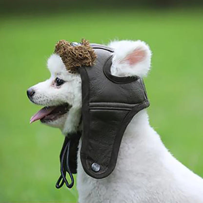 Dog wearing a black pilot hat on a winter walk