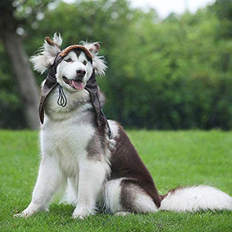 Brown aviator-style winter hat for dogs