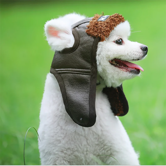 Dog aviator pilot hat in black