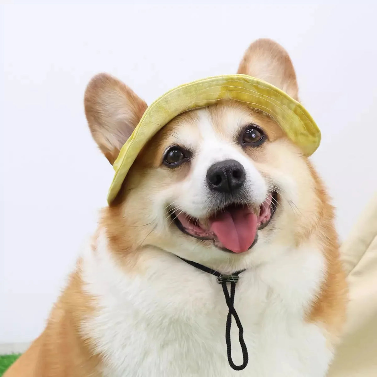 Dog bucket hat with ear holes and chin strap in pink