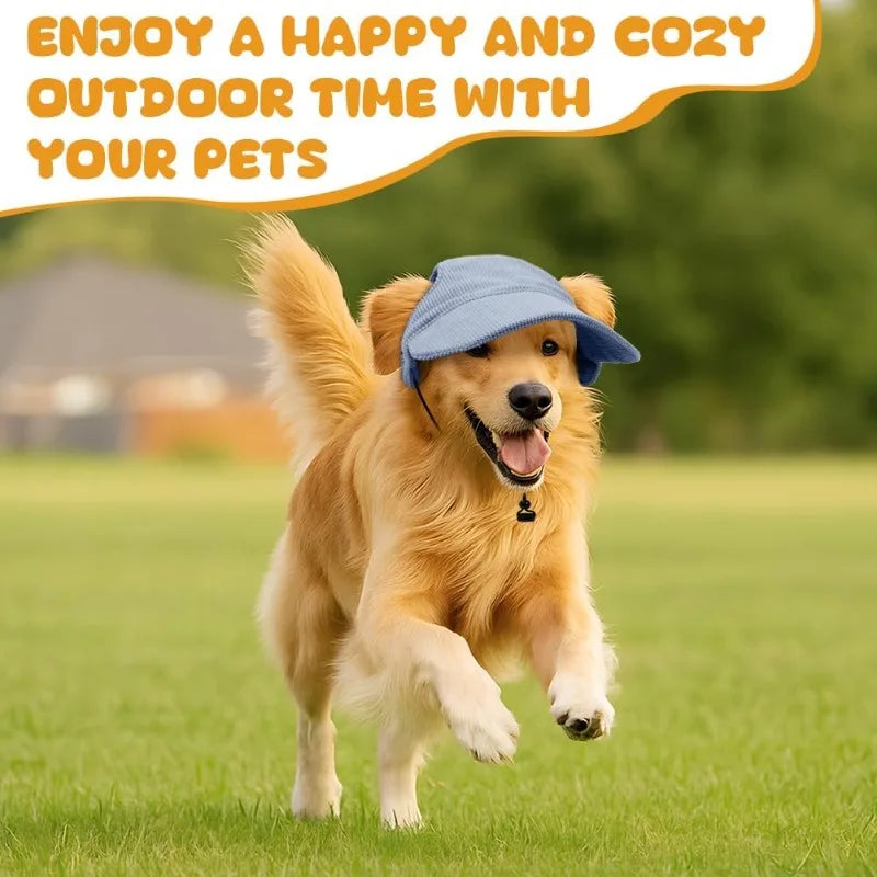 Dog wearing a blue corduroy cap with wide brim