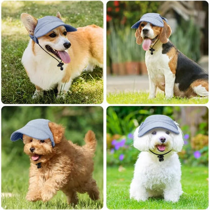 Corduroy dog cap in five colours