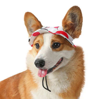 Small dog wearing a red baseball cap with ear holes