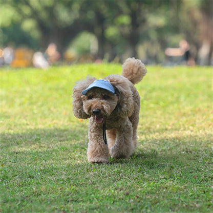 Adjustable dog cap with ear holes in five colours