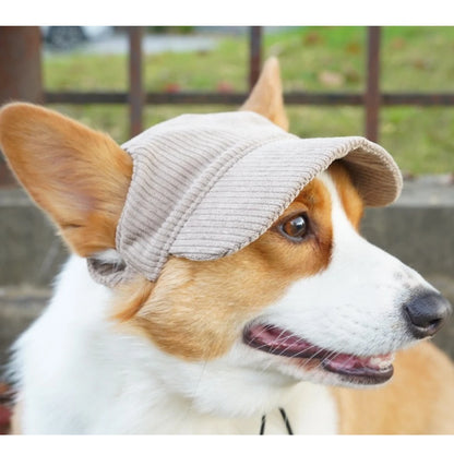 Dog wearing a grey baseball cap