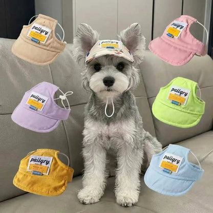 Small dog wearing a yellow sun visor cap