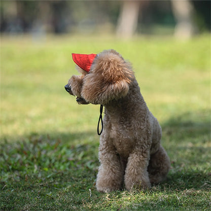 Dog baseball cap with lettering design and ear holes in pink