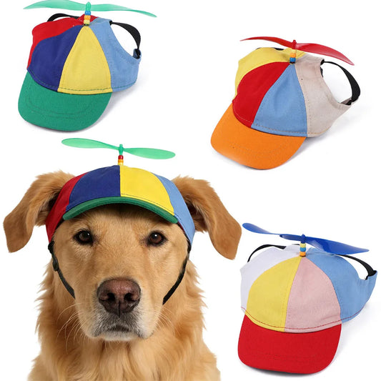 Rainbow propeller cap for dogs and cats