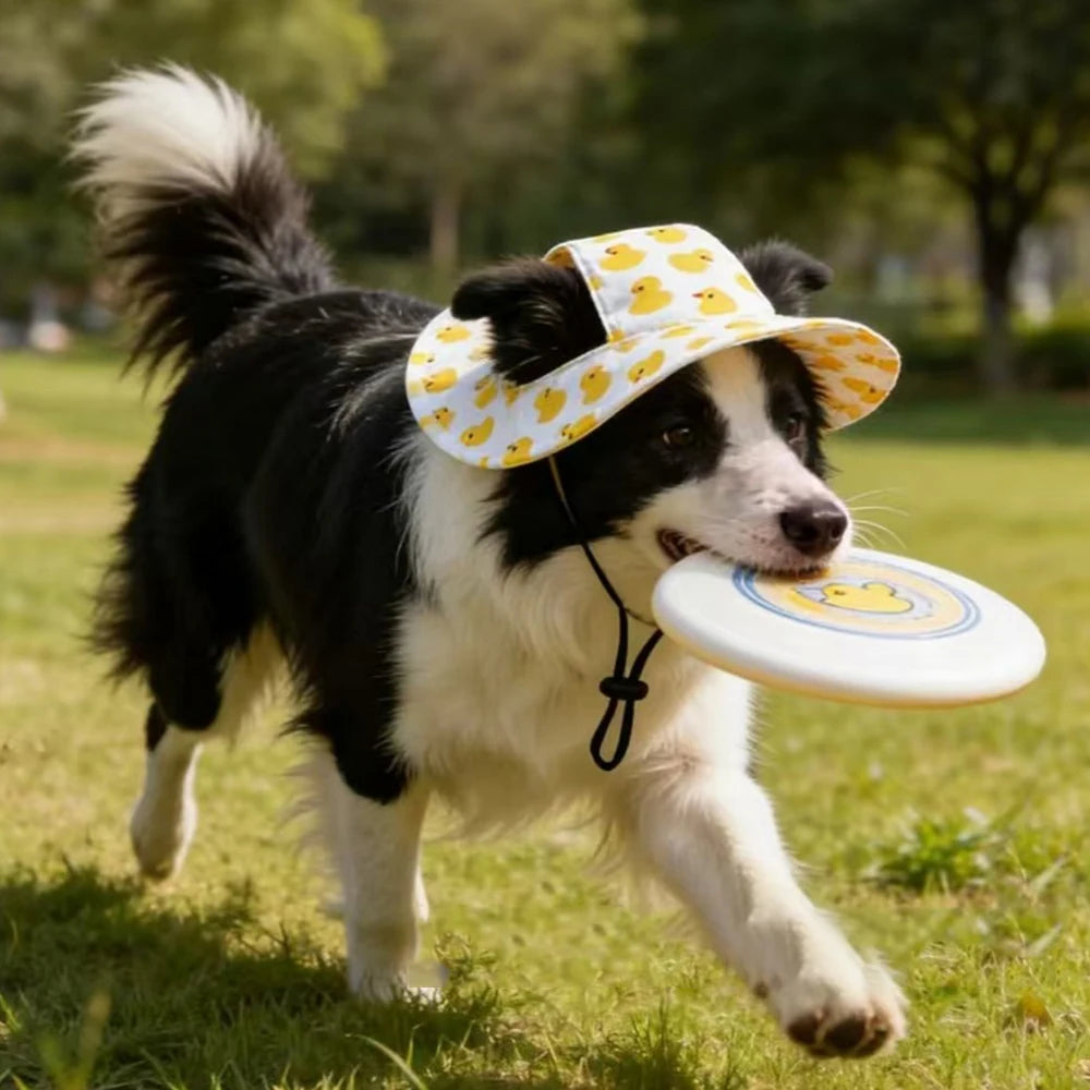 Football print dog cap in three sizes
