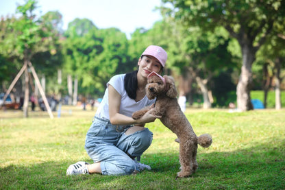 Dog wearing a baseball cap on an outdoor walk
