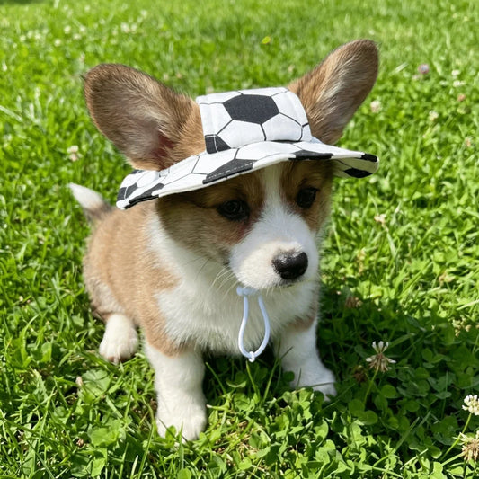 Football-themed dog bucket hat, Style A