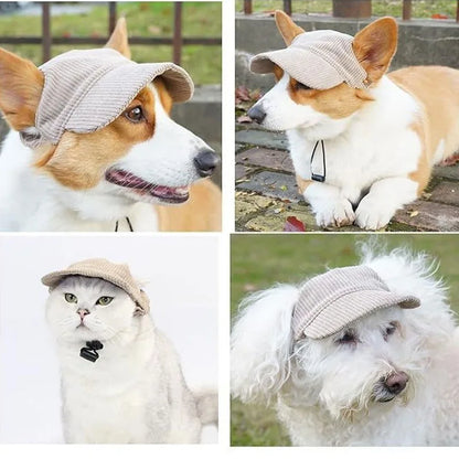 Dog wearing a grey baseball cap