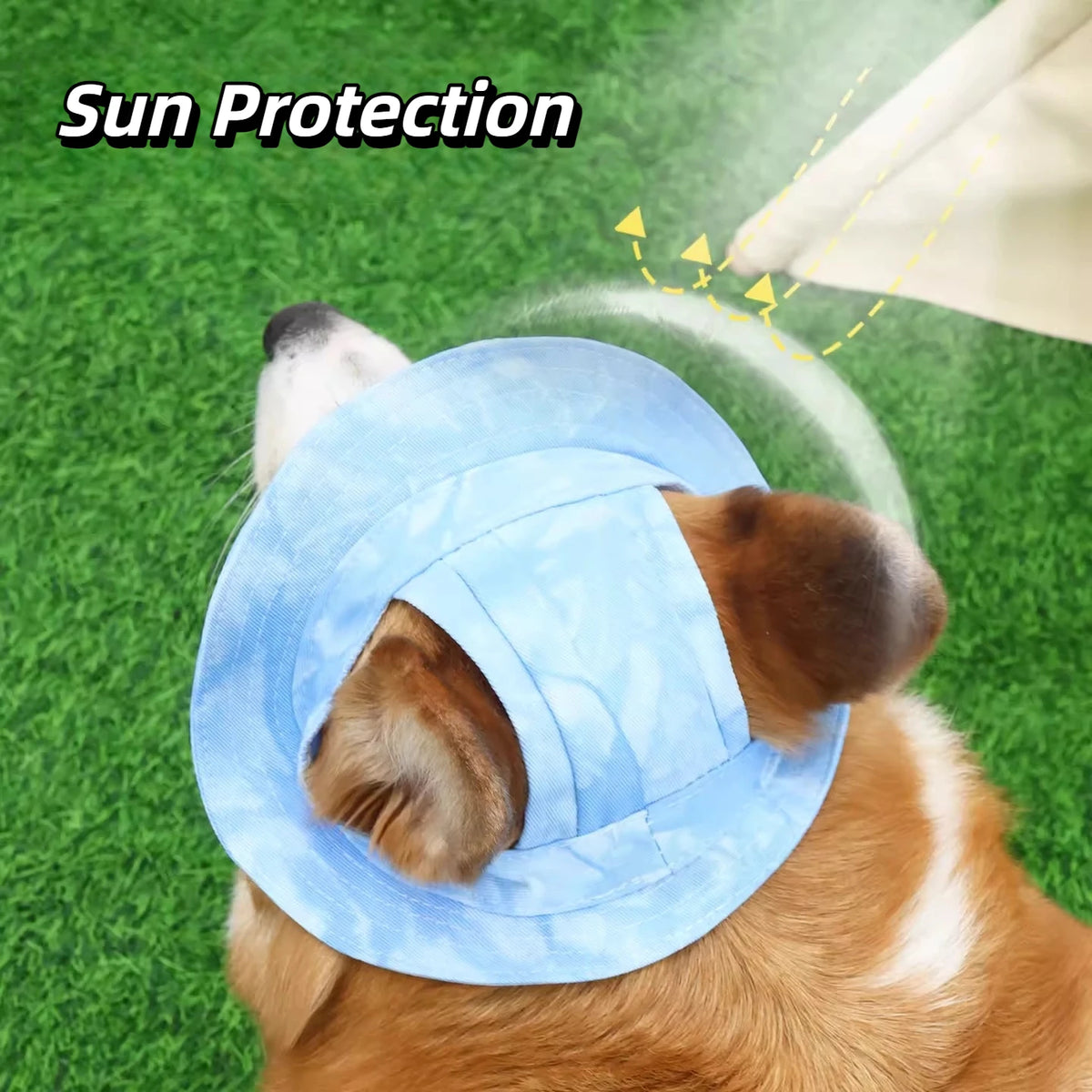 Small dog wearing a yellow bucket hat
