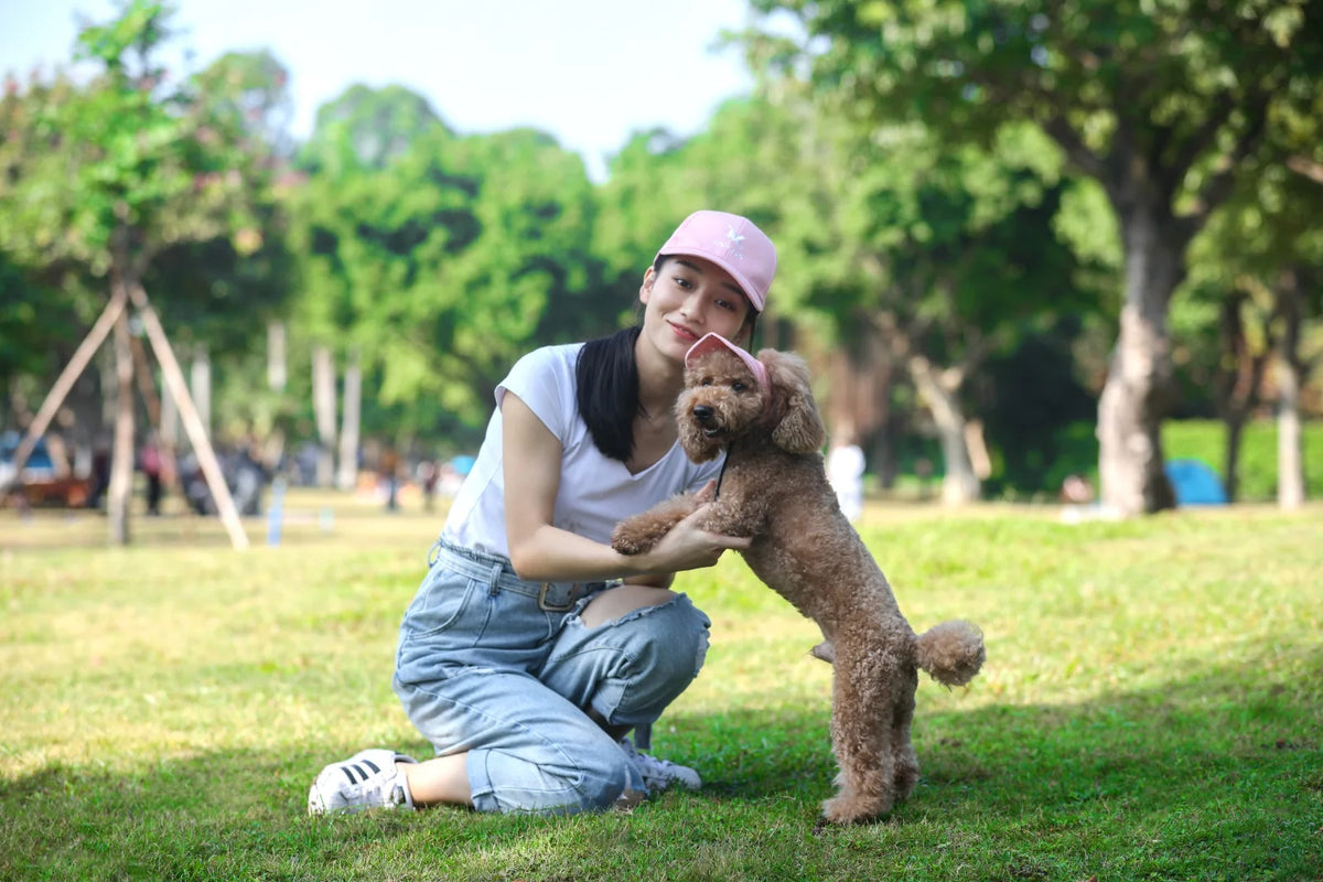 Dog wearing a blue baseball cap with ear holes