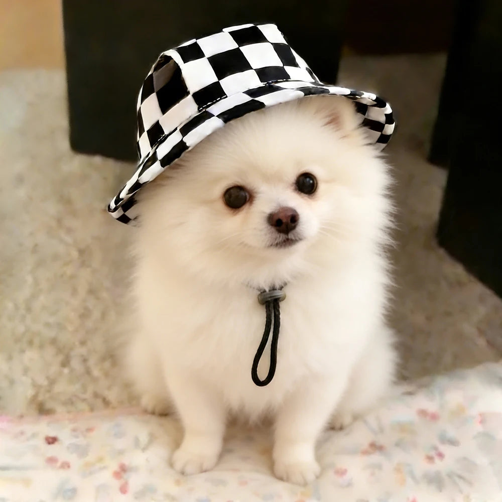 Football print dog cap in three sizes