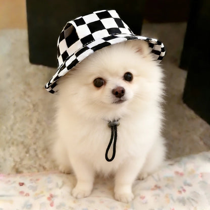 Football print dog cap in three sizes