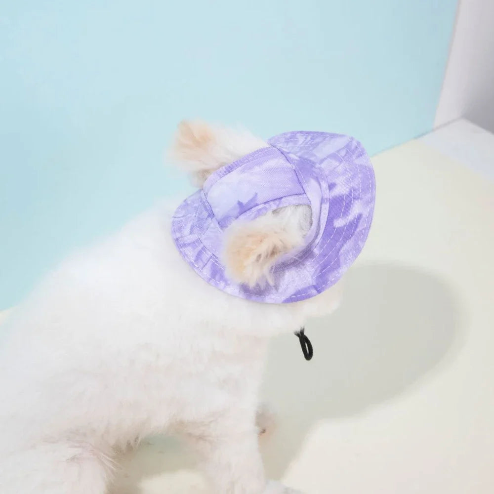 Small dog wearing a cotton baseball cap