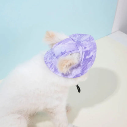 Small dog wearing a cotton baseball cap