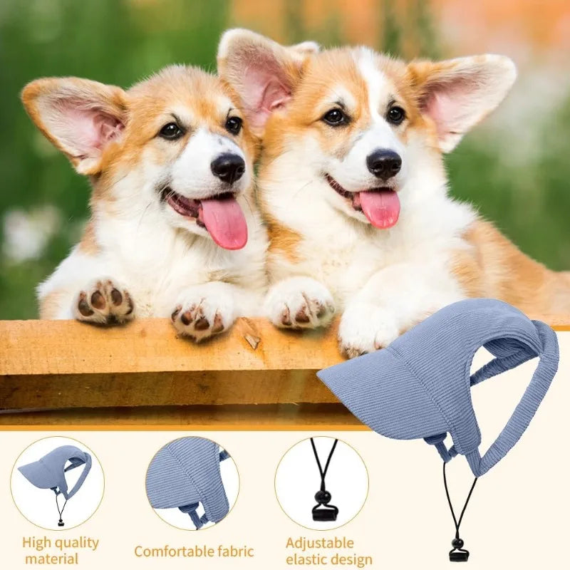 Corduroy dog cap in five colours