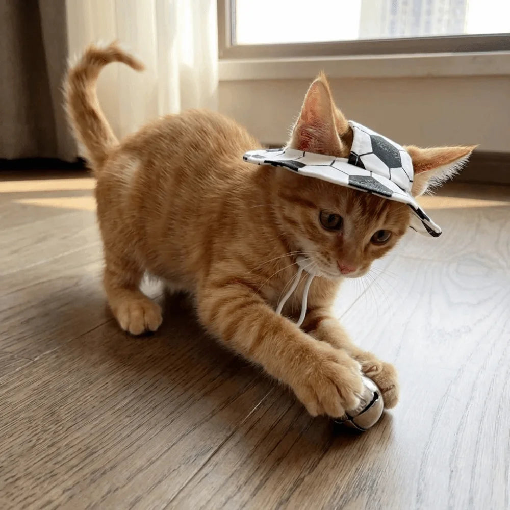 Football-themed dog bucket hat, Style A