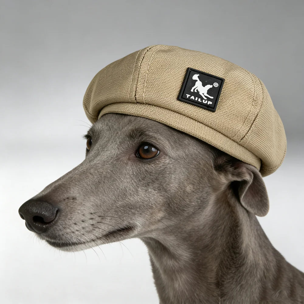 Dog wearing a green beret