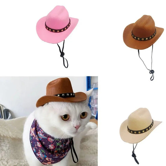 Mini cowboy hat for cats and small dogs with star trim