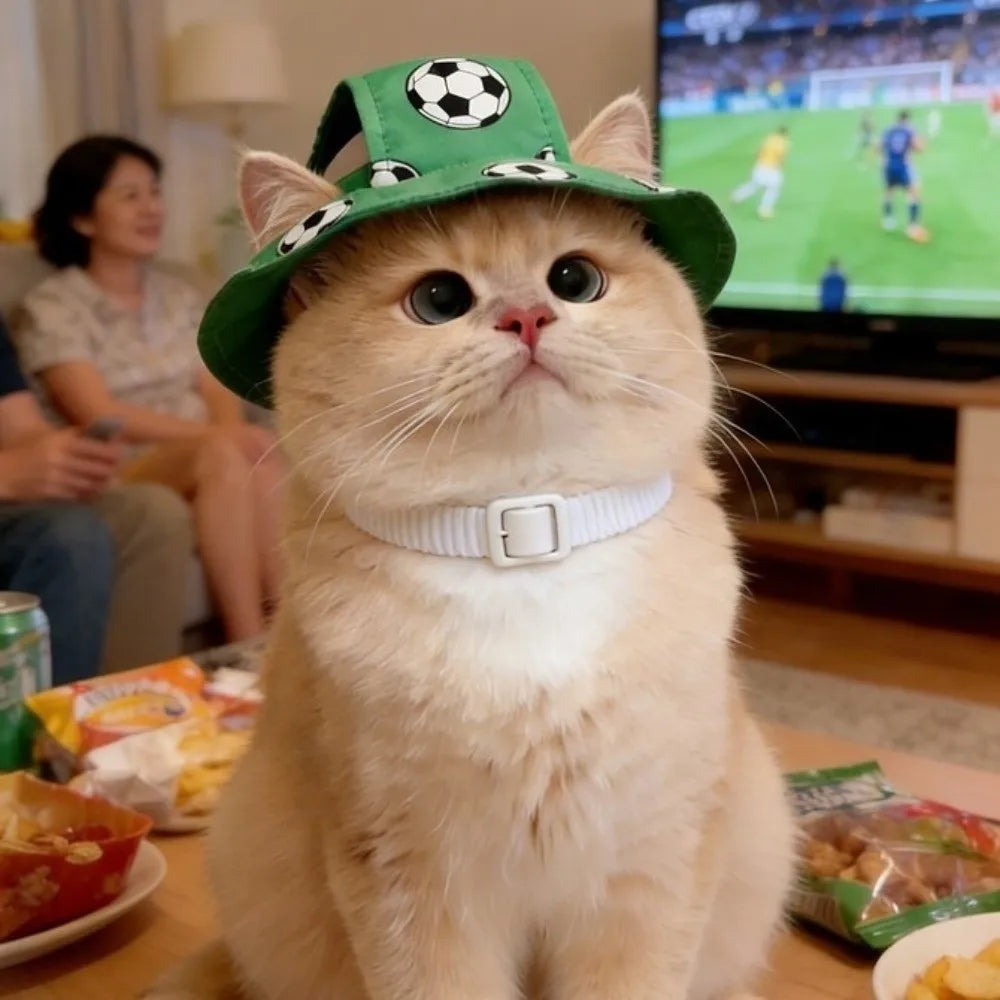 Dog wearing a football-themed bucket hat