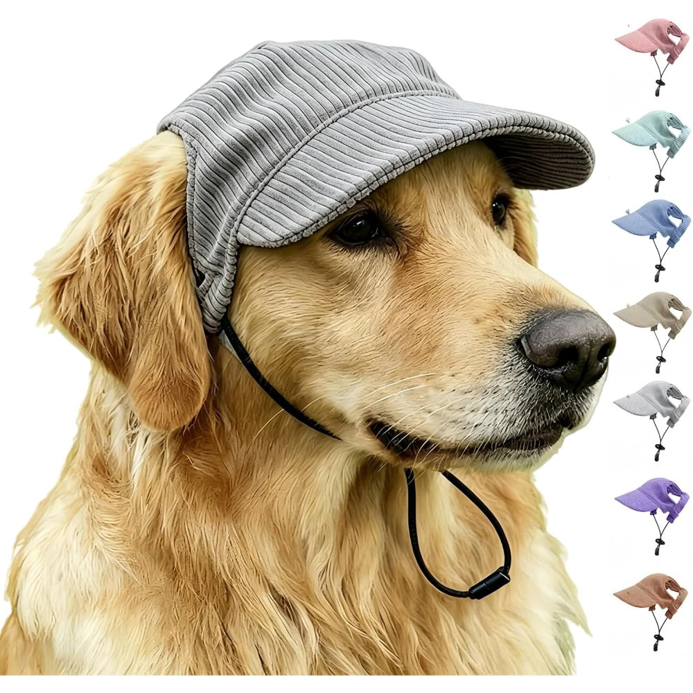 Grey dog baseball cap