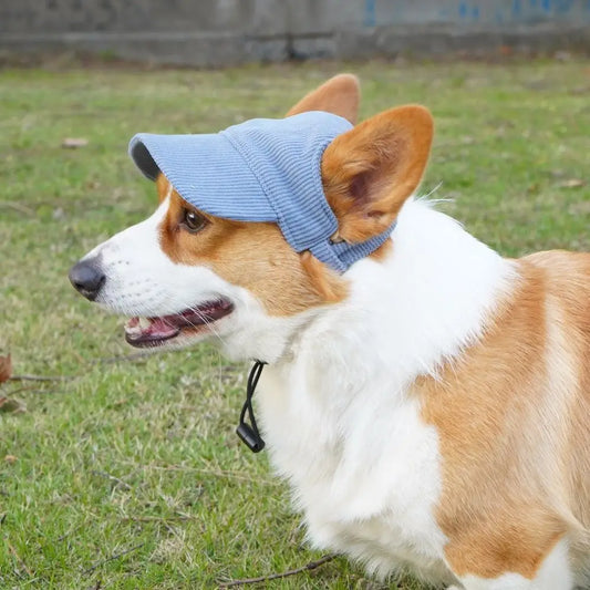 Corduroy dog baseball cap with ear holes in pink