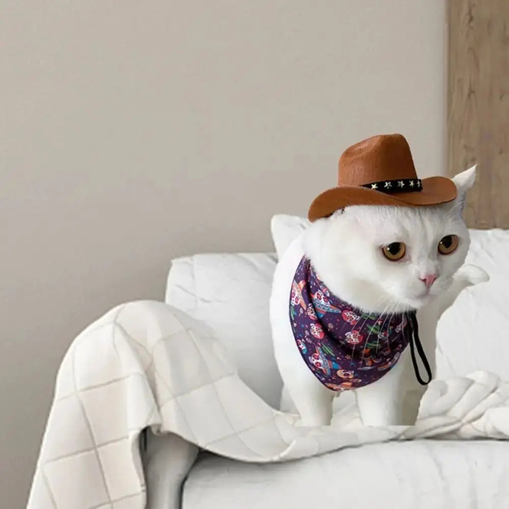Pet cowboy hat shown in five colours