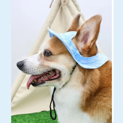 Small dog wearing a yellow bucket hat