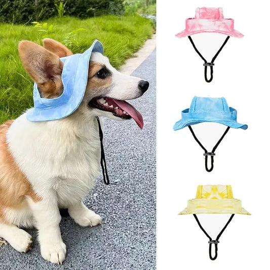 Cotton dog baseball cap with ear holes in blue