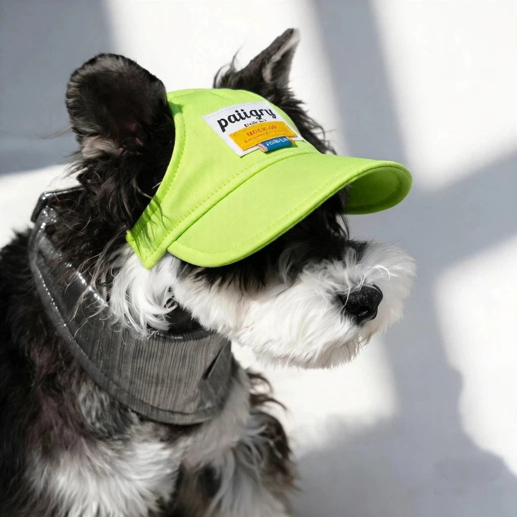 Small dog wearing a yellow sun visor cap