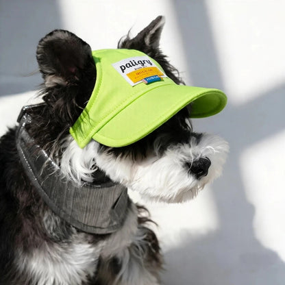 Small dog wearing a yellow sun visor cap