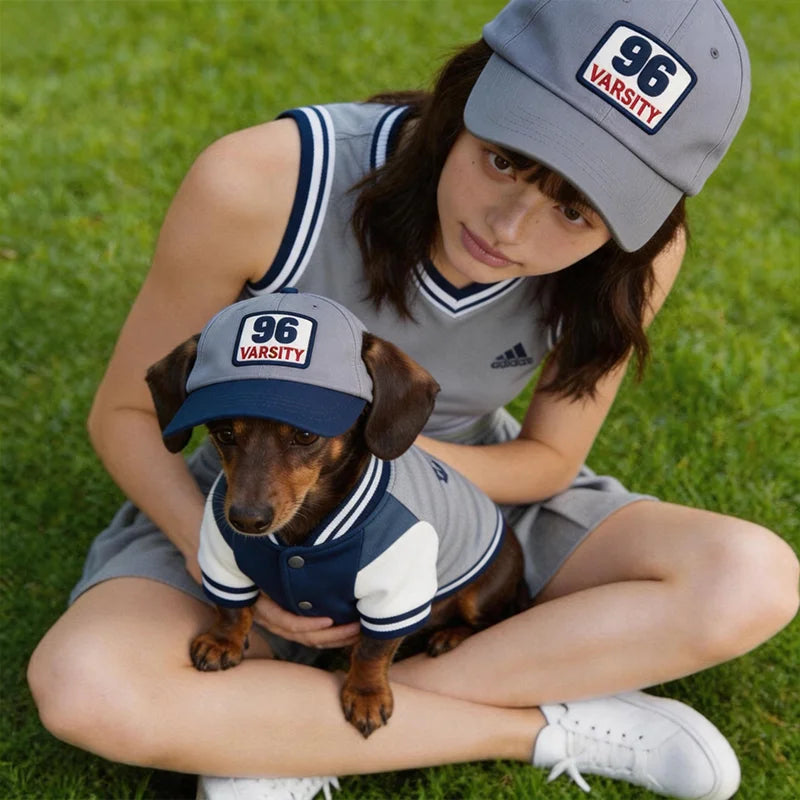 Dog wearing a grey baseball cap